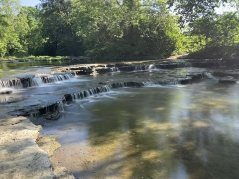 This Little Known Trail In Missouri Is Perfect For Finding Loads Of Wildflowers