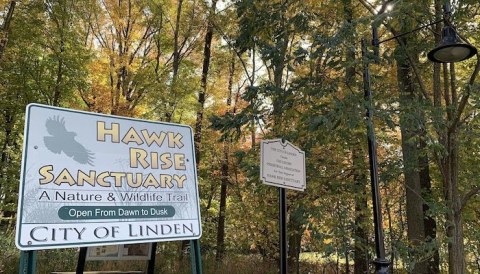 There Are More Bird Sightings Than There Are Miles Along This Beautiful Hiking Trail In New Jersey