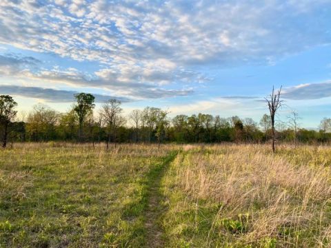 Few People Know About This Rare Ecosystem Only Found In Tennessee