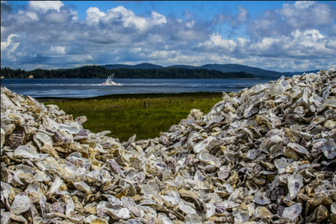 Few People Realize How Much History Is Preserved In The Small Town Of Oysterville, Washington