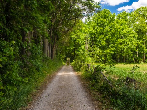 The Scenic Drive To The Merry Lea Environmental Center In Indiana Is Almost As Beautiful As The Destination Itself