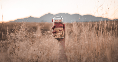 Drawing Inspiration And Ingredients From The Land, Arizona Wilderness Brewing Co. Is An Homage To The Grand Canyon State