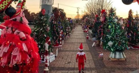 The Prancer Path Christmas Tree Trail In Mississippi Is Like Walking In A Winter Wonderland