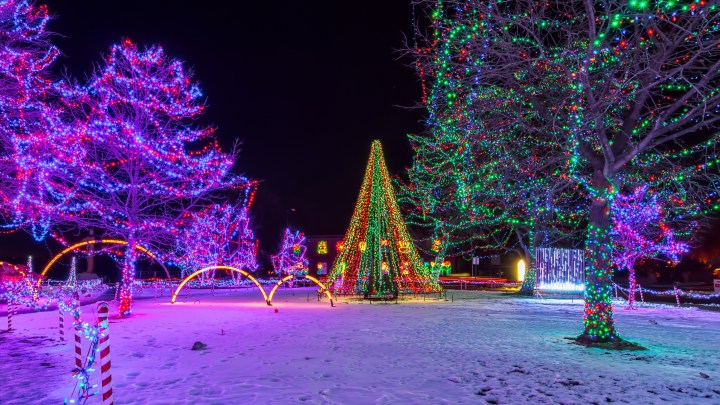 christmas tree rotary lights lacrosse wisconsin