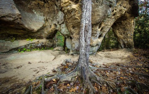 There Are More Arches Than There Are Miles Along This Beautiful Hiking Trail In Kentucky