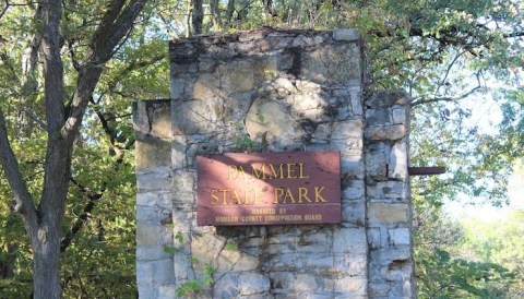 A Bit Of An Unexpected Natural Wonder, Few People Know There Are Old Growth Trees Hiding In Iowa