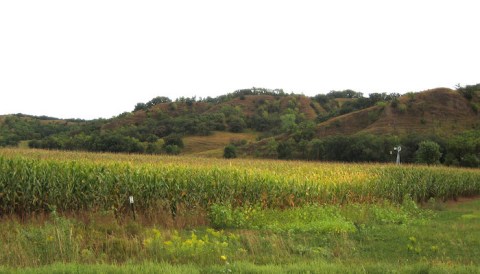 You Can Walk Among Ancient Tallgrass Prairie In This Stunning Iowa Landmark