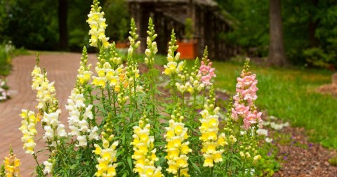 You'd Never Know One Of The Most Incredible Natural Wonders In South Carolina Is Hiding In This Garden