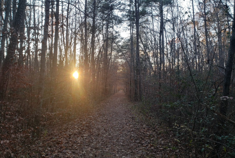 Follow This Abandoned Railroad Trail For One Of The Most Unique Hikes In Virginia