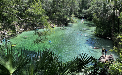 There Are More Manatees Than There Are Miles Along This Beautiful Hiking Trail In Florida