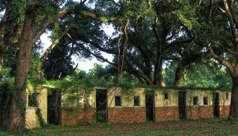 This Fascinating South Carolina Beach Resort Has Been Abandoned And Reclaimed By Nature For Decades Now