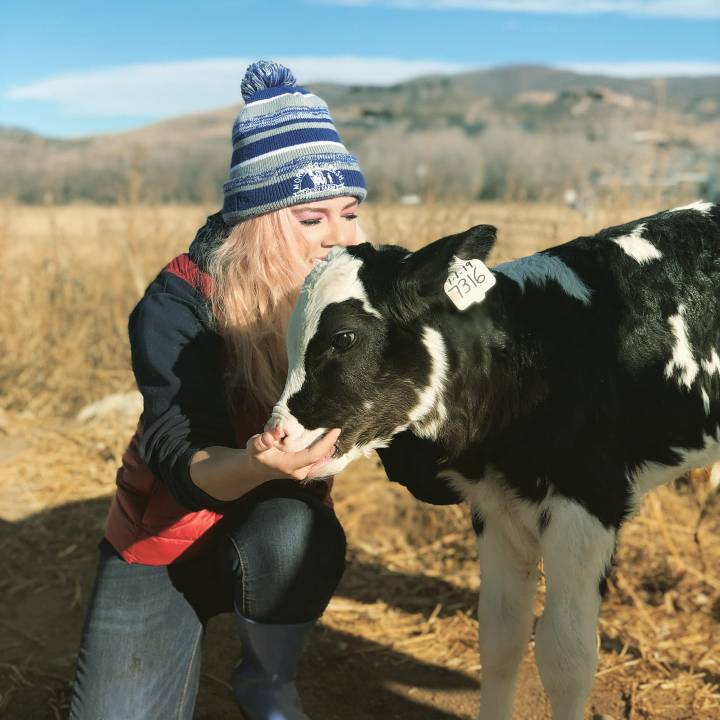 Morning Fresh Dairy Farm