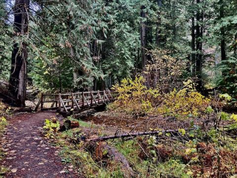 There Are More Bridges Than There Are Miles Along This Beautiful Hiking Trail In Idaho