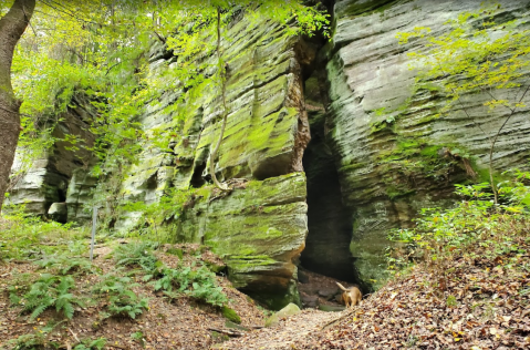 You'd Never Know One Of The Most Incredible Natural Wonders In Ohio Is Hiding In This Greater Cleveland Park