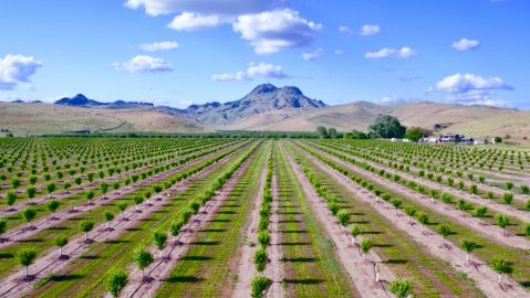 This Charming Little Farm Town In Northern California Is The Perfect Place To Get Away From It All