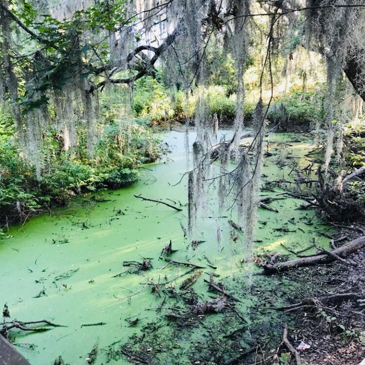 Magical Places in South Carolina