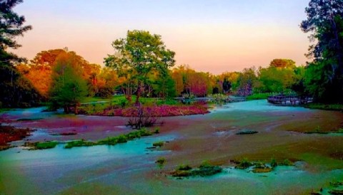 Hiking At Cypress Wetlands In South Carolina Is Like Entering A Fairytale