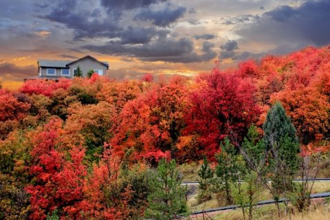 There's A Utah Vacation Spot With Private Treehouses That Feels Like A Real Life Fairy Tale