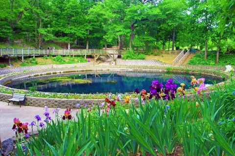 You Can Practically Walk To The Most Beautiful Lagoon In Arkansas That Has 38 Million Gallons Of Pure Spring Water