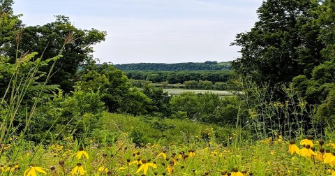 Few People Know About This Illinois Field Covered In Wildflowers