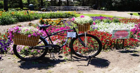 The Horticulture Display Garden In Morris Is The Hidden Garden In Minnesota That Almost No One Knows About