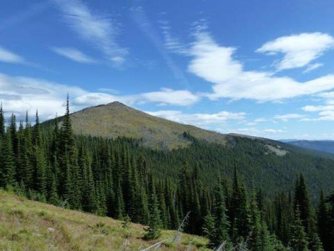 Few People Know About This Montana Rainforest In The Northwest Corner Of The State