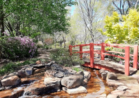 Daikin Garden Is The Hidden Garden In Alabama That Almost No One Knows About