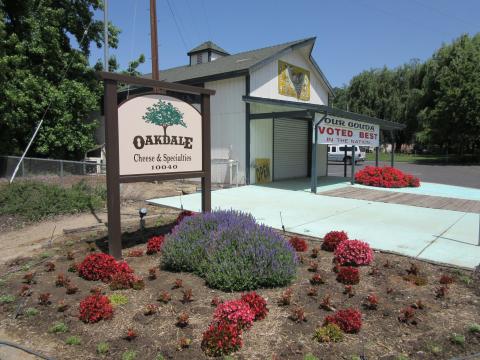 You'll Have Loads Of Fun At This Dairy Farm In Northern California With Incredible Gouda Cheeses