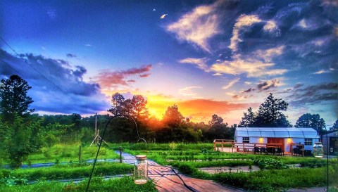 Enjoy A Farm-To-Glass Brewing Experience At This Unique Brewery In Arkansas