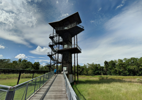 Climb 82 Feet To The Top Of The John Jacob Observation Tower In Texas And You Can See For Miles