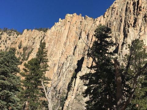 You'd Never Know One Of The Most Incredible Natural Wonders In New Mexico Is Hiding In This Tiny Park