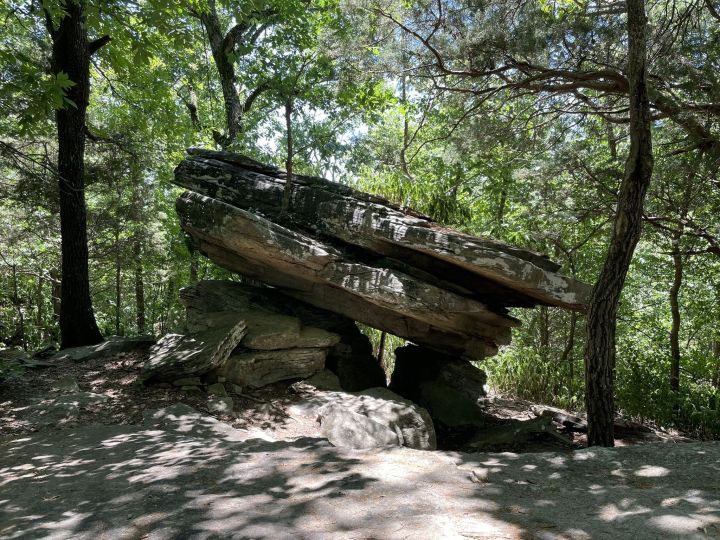 Wildflower Hikes In Alabama