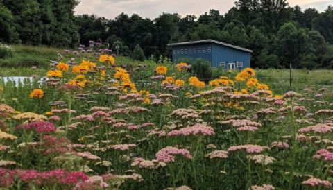 Enjoy A Farm-To-Glass Brewing Experience At This Unique Brewery In North Carolina