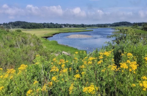 Rhode Island’s Seapowet Marsh Is Too Beautiful For Words