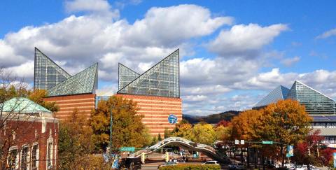 The Largest Freshwater Aquarium In The U.S. Is In Tennessee, And It's Magical