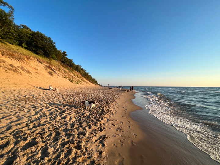 Scenic Trail West Olive Michigan