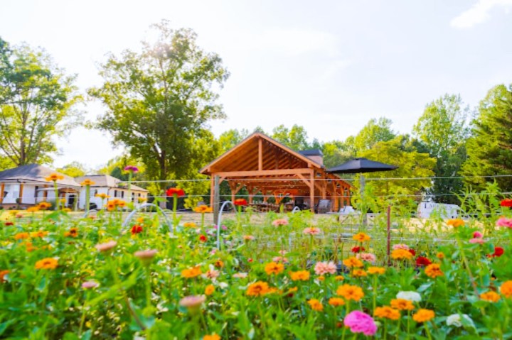 Flower Farm In South Carolina