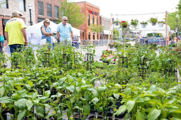 spring festivals in michigan