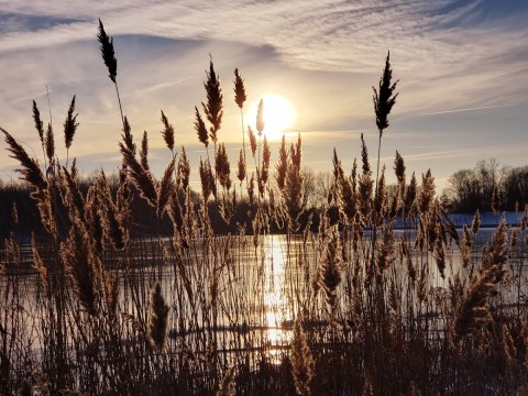 Potato Creek State Park Is A Magical Place In Indiana That You Thought Only Existed In Your Dreams