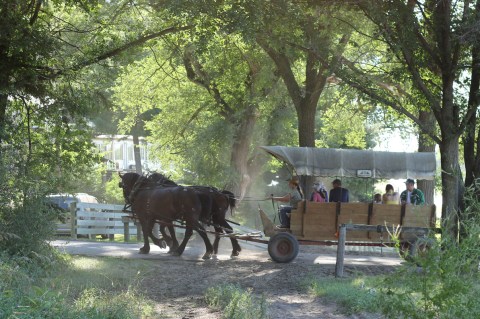 Surrounded By Beauty, This All-Inclusive Ranch In Wisconsin Is The Getaway You Deserve