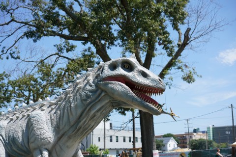 Come Face-To-Face With Dinosaurs At The Incredible Jurassic Encounter In Virginia