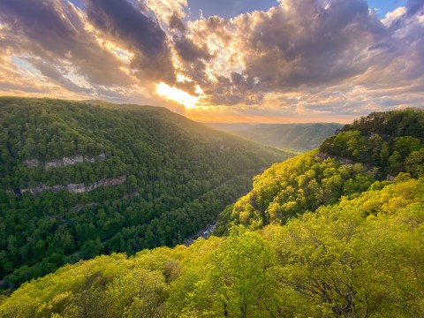 We Bet You Didn't Know There Was A Miniature Grand Canyon In Kentucky