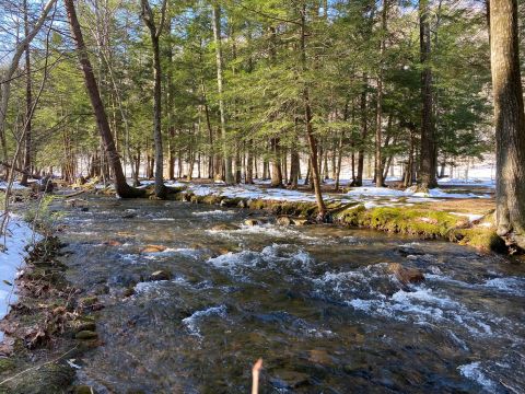 Fowlers Hollow State Park Is A Tiny State Park In Pennsylvania You’ve Never Heard Of But Need To Visit