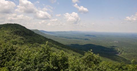 This Scenic Drive Runs Straight Through Alabama's Largest Forest, And It's A Breathtaking Journey