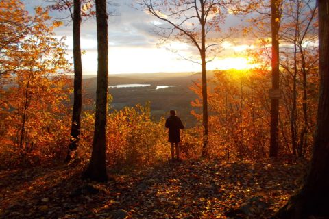 A Bit Of An Unexpected Wonder, Few People Know That Part Of The Appalachian Trail Is In Connecticut