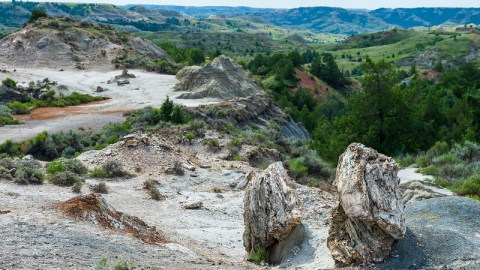 A Bit Of An Unexpected Natural Wonder, Few People Know There's A Petrified Forest Hiding In North Dakota