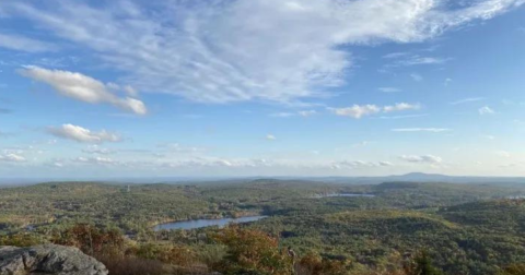 Spot Wildflowers, Birds, And More Along This Picture-Perfect Nature Trail In Massachusetts