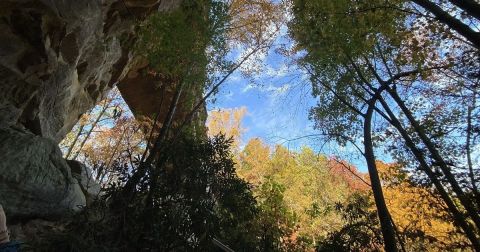 Lush And Lovely, You'll Be Transported To Middle Earth Along The Rock Garden Trail In Kentucky