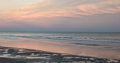 This Scenic Drive Runs Straight Through South Carolina's Hunting Island State Park, And It's A Breathtaking Journey