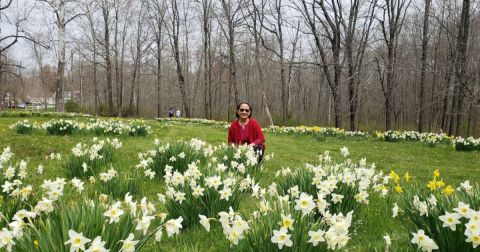 Enjoy The Most Colorful Spring Festival In Connecticut At The Daffodil Day Event At Wadsworth Mansion